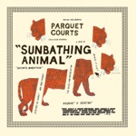 Parquet Courts - Ducking & Dodging