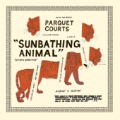 Parquet Courts - Bodies Made Of