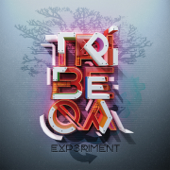 Experiment - Tribeqa