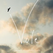 Alain Souchon & Laurent Voulzy cover