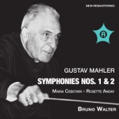 Mahler: Symphonies Nos. 1 & 2 artwork