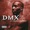 DMX - How's It Goin' Down