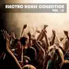 Stream & download Electro House Collection, Vol. 13