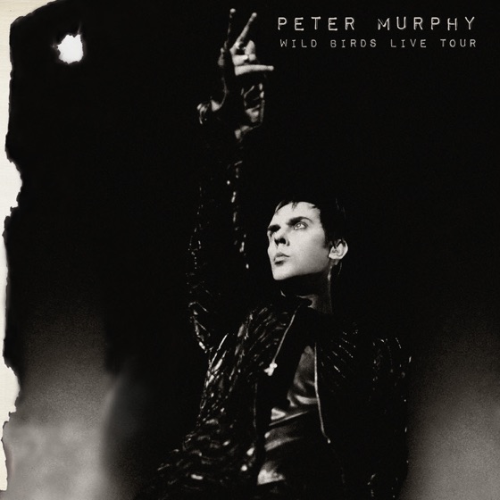 Cover artwork for Hit Song