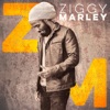 Ziggy Marley, 2016