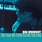 Paint the Town Blue - Bob Woodruff lyrics