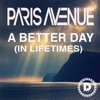 A Better Day (In Lifetimes) - Single