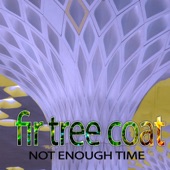 Not Enough Time (feat. Christine Leach & Steve Wellington) [Radio Mix] artwork