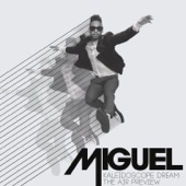 Miguel - The Thrill