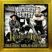 Rebels on the Run (Deluxe Gold Edition) artwork