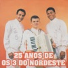 25 Anos de os 3 do Nordeste