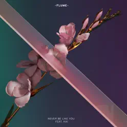 Never Be Like You (feat. Kai) - Single - Flume