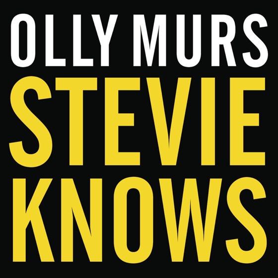 Cover artwork for Stevie Knows