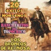 20 Éxitos Norteños