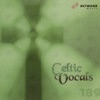 Network Music Ensemble - Down By the Sally Gardens