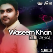 Dil Pagal artwork