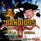 Album Perdido - Los Bandidos De La Sierra lyrics