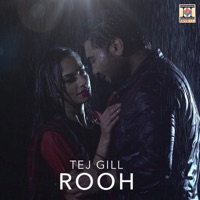 TEJ GILL - Rooh Chords and Lyrics