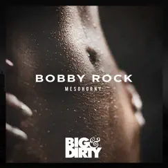 Mesohorny - Single by Bobby Rock album reviews, ratings, credits