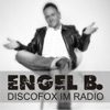 Discofox im Radio - Single, 2012