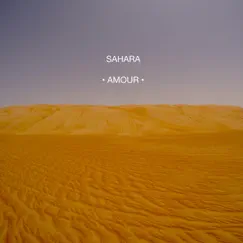 Amour - EP by Sahara album reviews, ratings, credits