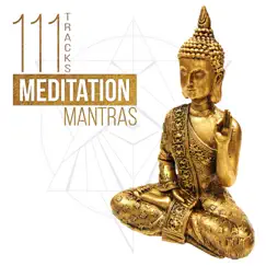 111 Tracks: Meditation Mantras - Zen Garden & Asian Chakra Balancing, Reiki Healing Therapy Sounds, Buddha Lounge Music & Yoga Studio by Various Artists album reviews, ratings, credits