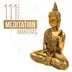 Meditation Mantras song reviews