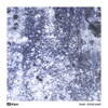 Sweely - So Many Questions