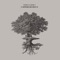 It Happened One Night - Chicola & Sahar Z lyrics