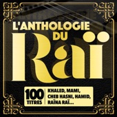 L'anthologie du Raï (100 Titres) artwork