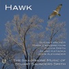 Hawk