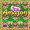 Amazon - $yrup lyrics