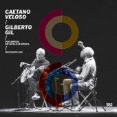 Dois Amigos, Um Século de Música: Multishow Live artwork