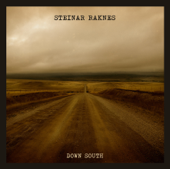 Down South - Steinar Raknes