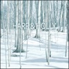 Harp & Holly - God Rest Ye Merry Medley: Scottiche / Julia Delaney / God Rest Ye Merry Gentlemen