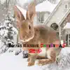 House Rabbit Christmas song lyrics