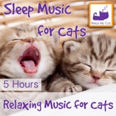 Sleep Music for Cats - 5 Hours - Relaxing Music for Cats artwork