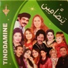Tinddamine
