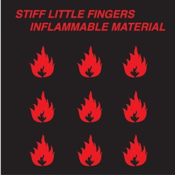 INFLAMMABLE MATERIAL cover art