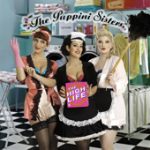 Girls Just Wanna Have Fun - The Puppini Sisters