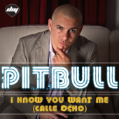 I Know You Want Me (Calle Ocho) [Radio Edit] - Pitbull