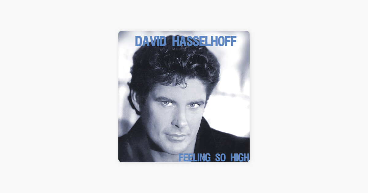 I feeling so high. David Hasselhoff - i just died in your Arms Ian Coleen whitelabel Remix.