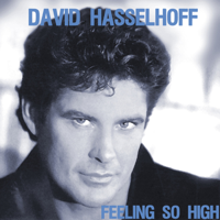 David Hasselhoff - Feeling So High artwork