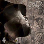 Randy Valentine - Winter Mornings (feat. Suns of Dub)