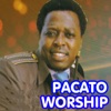 Pacato Worship, 2016