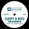 Awareness - Sleepy & Boo lyrics