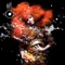 Bjork - Thunderbolt