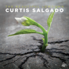 The Beautiful Lowdown - Curtis Salgado