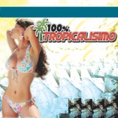 100% Tropicalisimo artwork