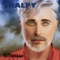 Pettirosso - Shalpy lyrics